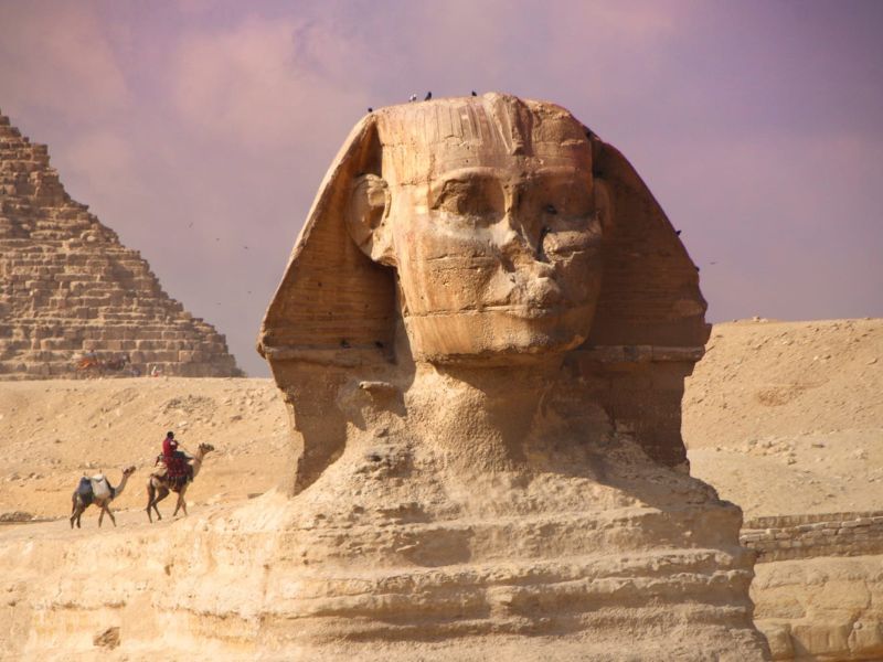 <p>Viaggio in Egitto</p>